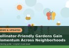 Pollinator-Friendly Gardens Gain Momentum Across Neighborhoods