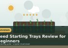 Seed Starting Trays Review for Beginners