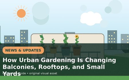 How Urban Gardening Is Changing Balconies, Rooftops, and Small Yards