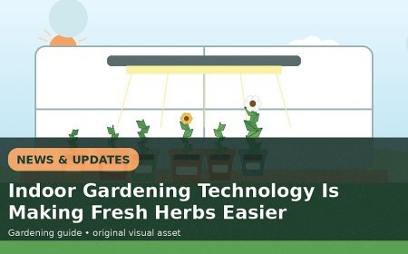 Indoor Gardening Technology Is Making Fresh Herbs Easier