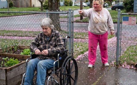 Neighbors Claimed I STOLE 72 Cherry Trees & Got Me ARRESTED! I Sued Them For $3,000,000!