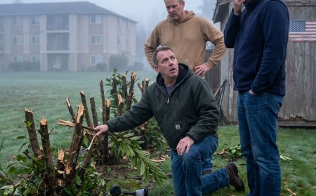 HOA Trespassed On My Property, CUT MY HEDGES WITHOUT MY CONSENT, I Lost $10,000!