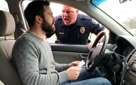 You think you can let an injustice slide and move on. Then the cop who threatened you walks into your business, begging for a certification only you can grant, and you realize karma needs a little hands-on assistance.