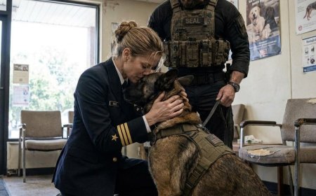 The combat dog froze, staring at the veterinarian like a ghost from another life. When she whispered a code word from a classified mission, he ran to her, revealing a hidden tag with initials from a dead soldier. What buried truth was about to surface?
