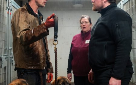 I went to the shelter to adopt an old dog that would ignore me. Two puppies pinned my boots and refused to release the leash I'd worn for four years.
